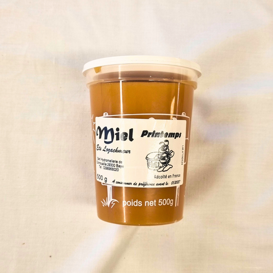 Miel Toutes Fleurs Printemps – Pot de Miel Artisanal 500g
